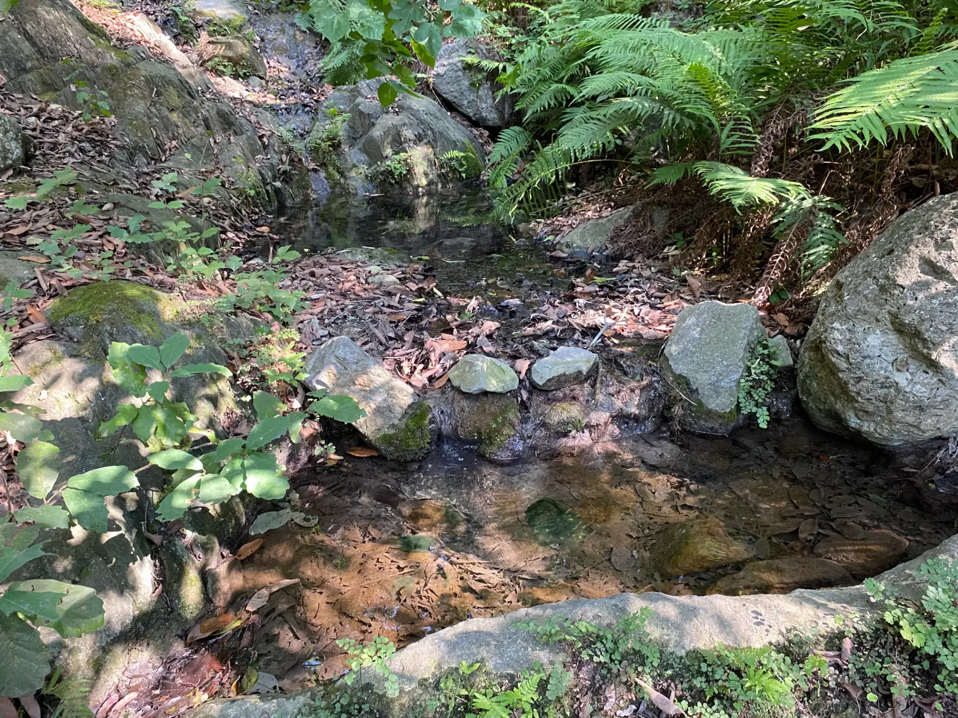Disponibilidad de alimento y agua para fauna silvestre