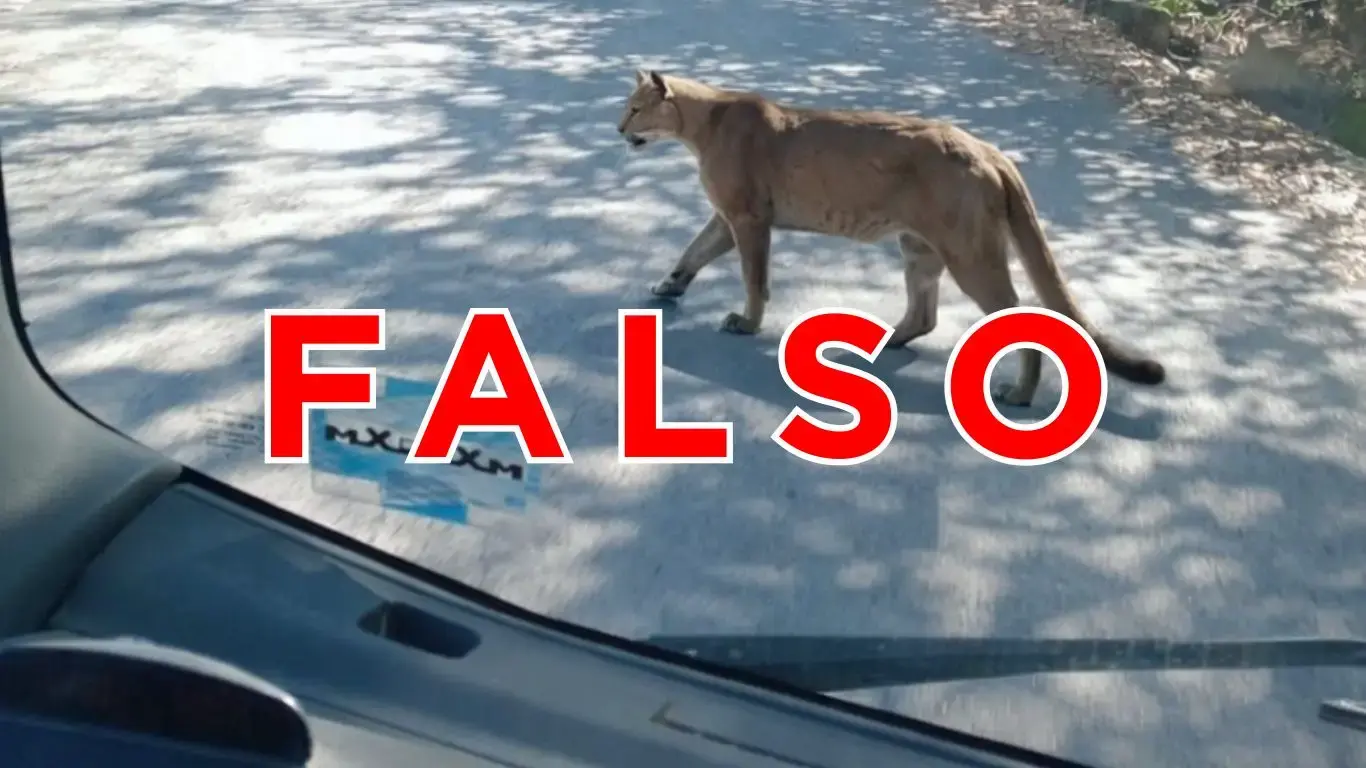 Circulación de imagen falsa sobre puma en Chipinque