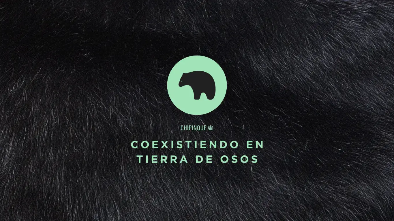 Campaña de Concientización y Acción para Proteger al Oso Negro
