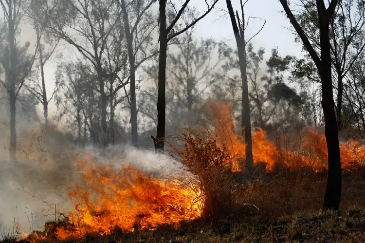 La justicia ambiental ¿Por qué es importante?