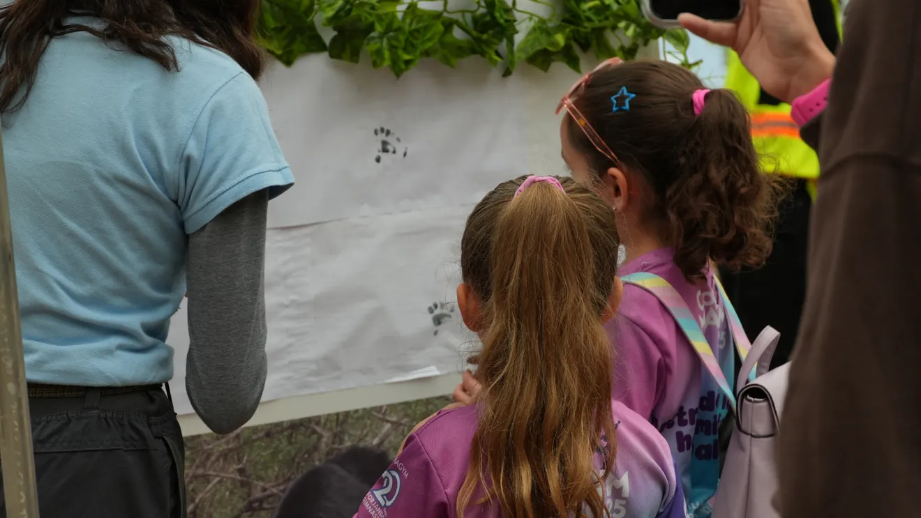 Taller: Rutas del oso y las historias de la sierra