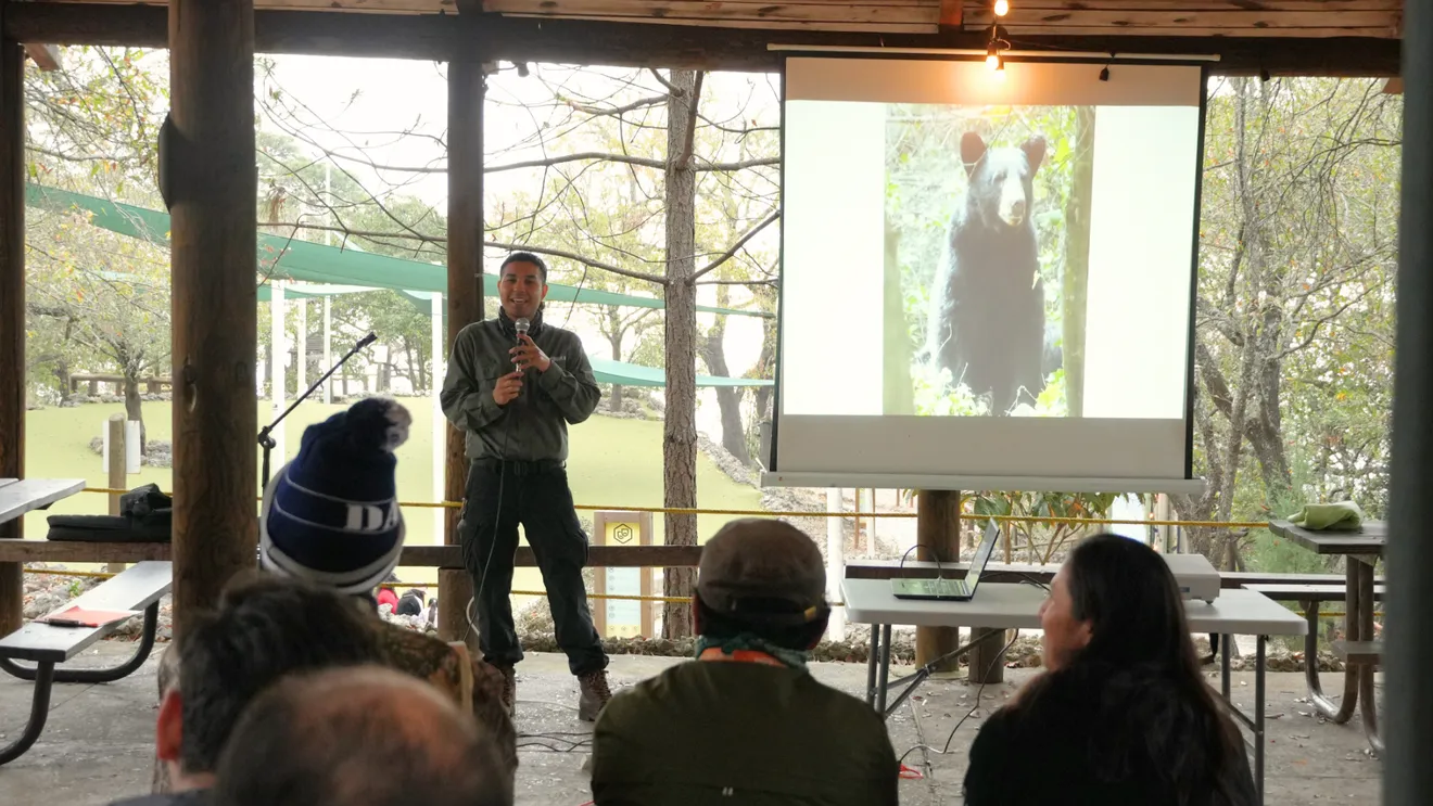 El oso, su rol ecológico en el territorio y especies nativas