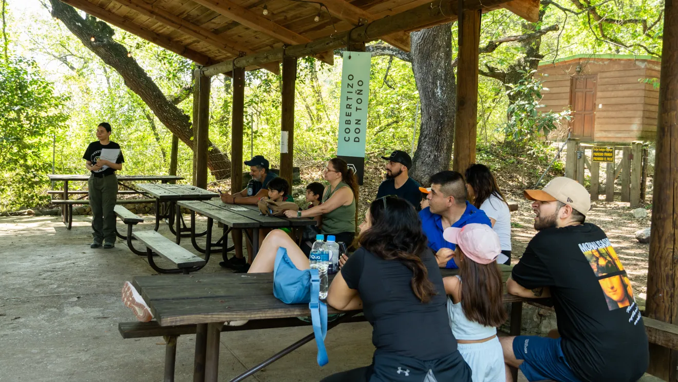 Taller: Aves comunes del noreste