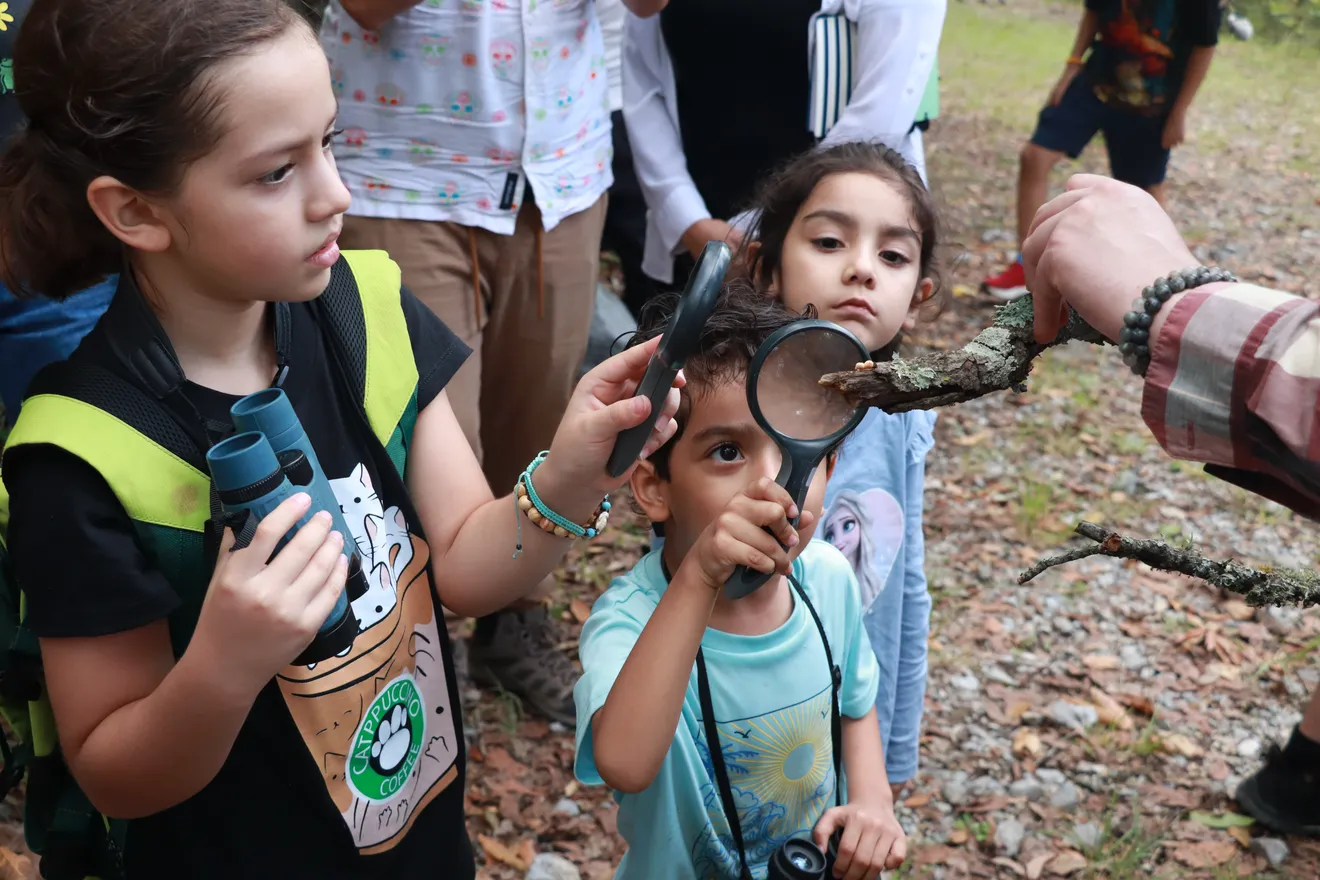 Trail: Fungi and Their Ecological Role