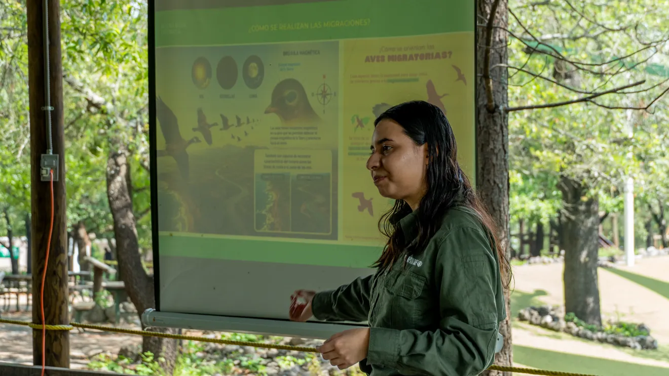 Bioindicadores alados: El programa de monitoreo en la Reserva Natural Chipinque