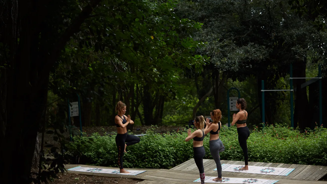 Mega clase de yoga