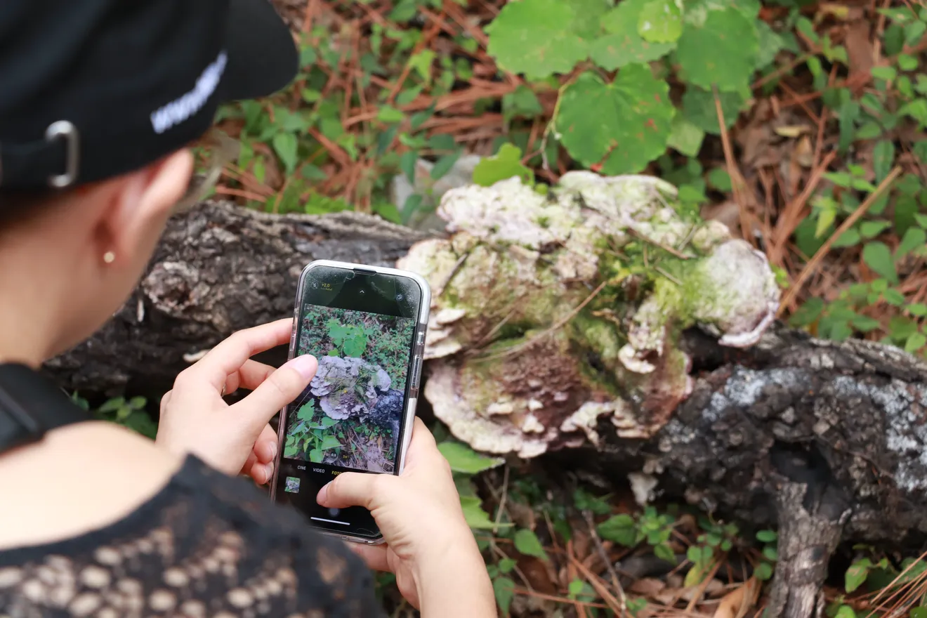Mushroom Photo Walk