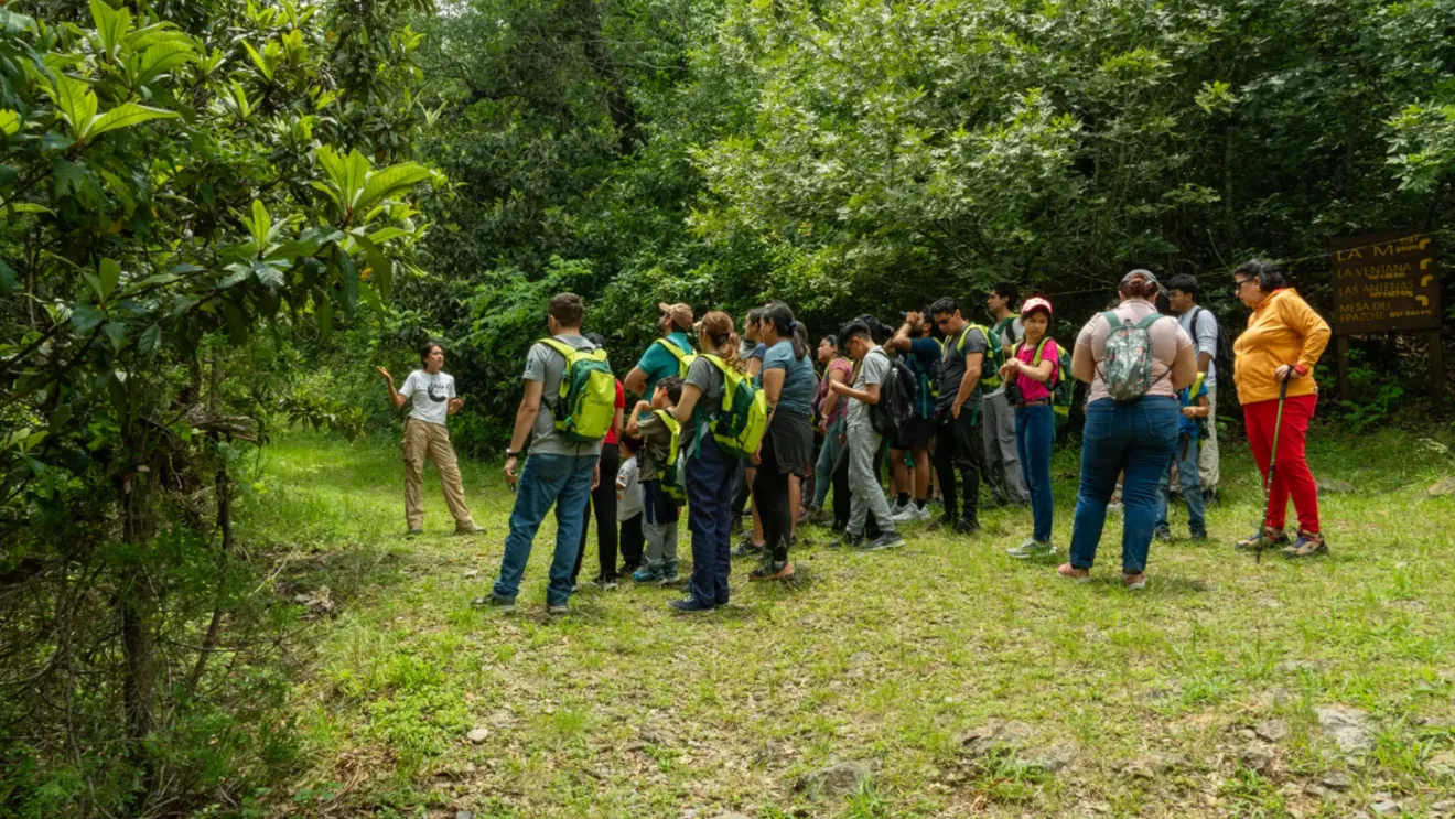 Recorrido: El oso y su rol ecológico