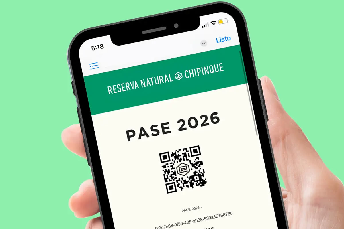 Pase anual individual