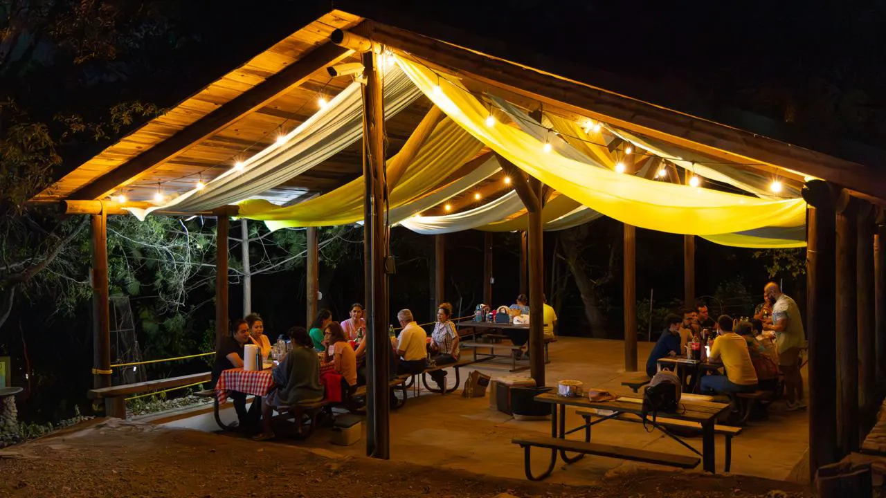 Picnic en el Bosque: Noche Astronómica